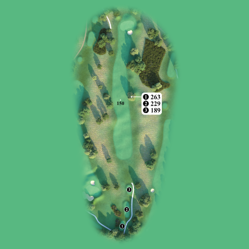 Hole 10